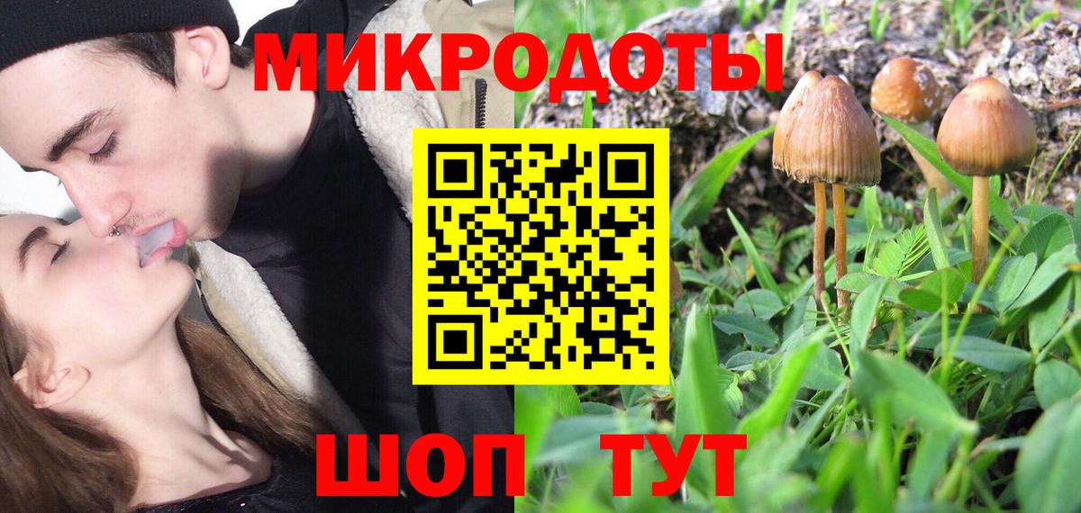 Донецк  Псилоцибиновые грибы Psilocybine cubensis  Вход с VPN 